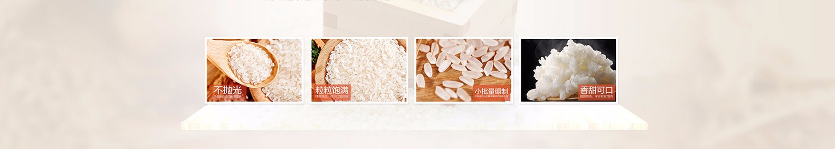 南宁市东盛供应链有限公司